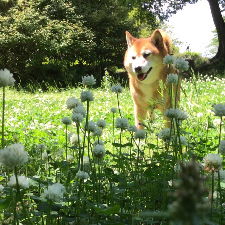 B84cad2f d17d 46d1 b167 ff3fbb0476e8 1620617854010