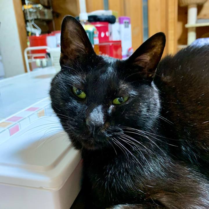 B84cc7d7 1fe6 4566 b847 03c508066135 1677328687989