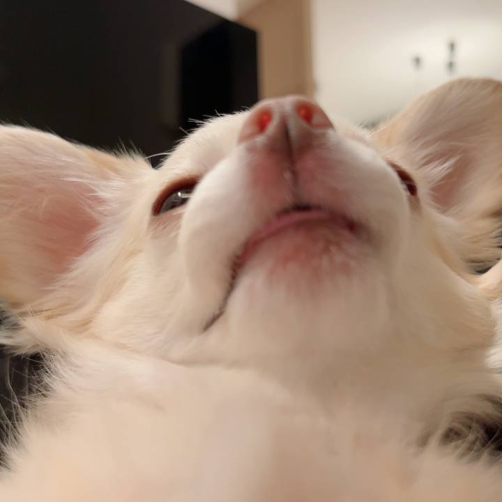 B84cd789 ea45 45a6 8a8d a7b9e86b6c8e 1727354752494