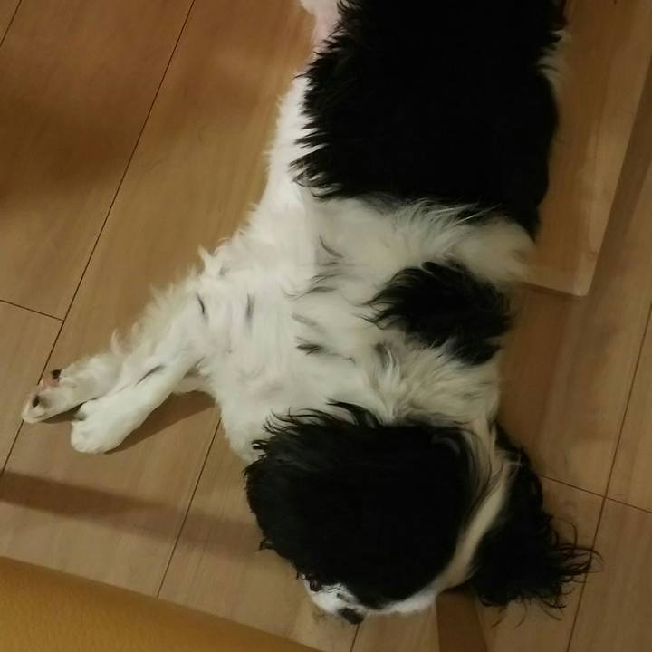 B84d188f 7e85 4316 8157 9202a5bed181 1532321213454