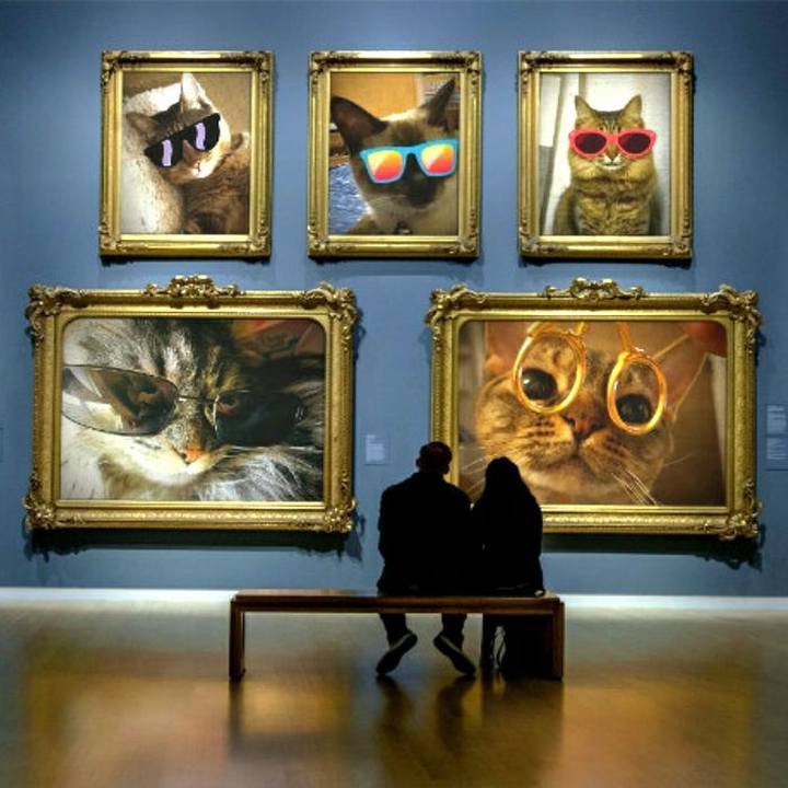 B84d5057 8fab 41d2 a0ae 227d04ed61fa 1554328217008