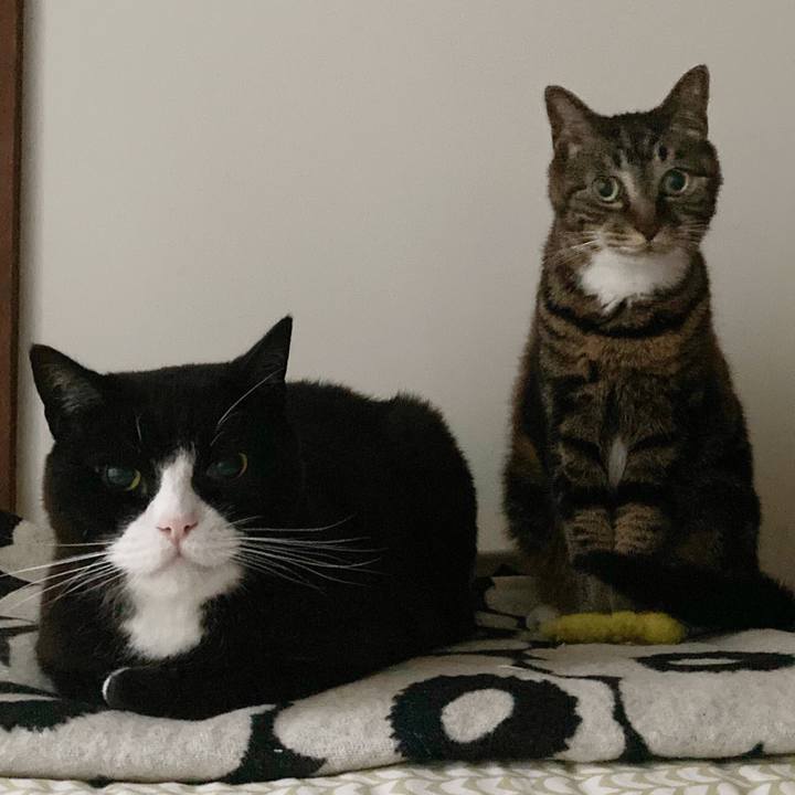 B84d6930 c372 4eef b386 19c093d14bbd 1595039658208