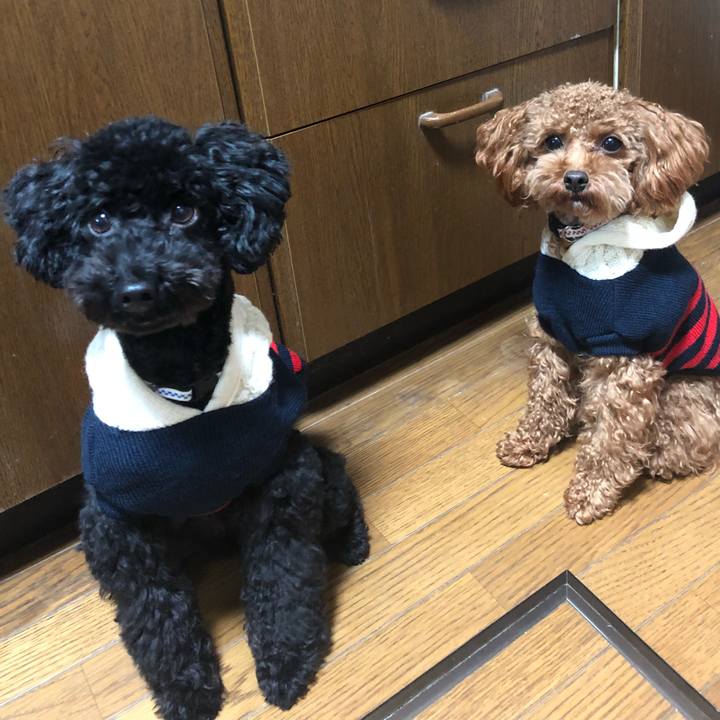 B84db522 1b4a 40b7 bfaf 34fe145fef03 1512340126514