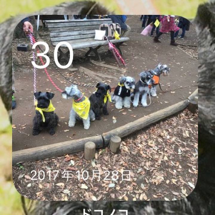 B84dc446 0350 4605 87de 4621e777bf83 1635589631748