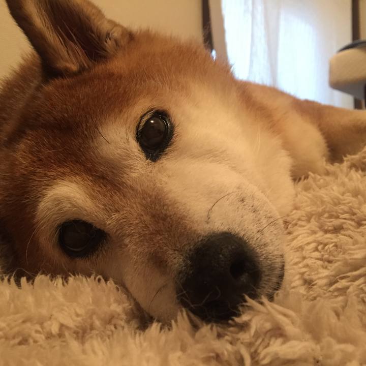 B84ddca7 8298 4b28 b902 c22eaa64b465 1535886296115