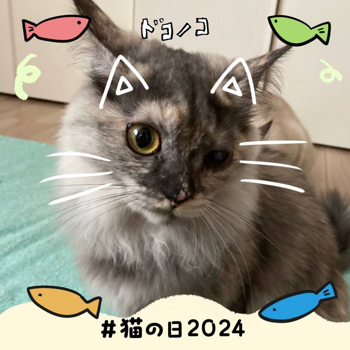 B84e4095 5bfc 4c9b 95d5 5254de873d83 1708557999844