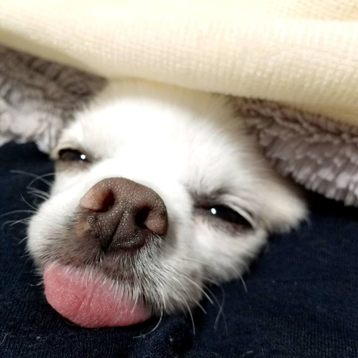 B84e9203 0ef1 454d baea 0b0404090333 1610761696347