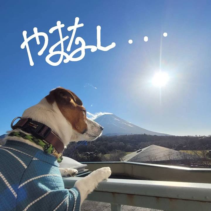 B84e9eb1 85b0 4142 895f bdb89dd20b06 1671063781824