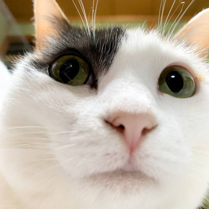 B84ea6c2 c0dd 412a aa94 c40fa3615c64 1583199209992