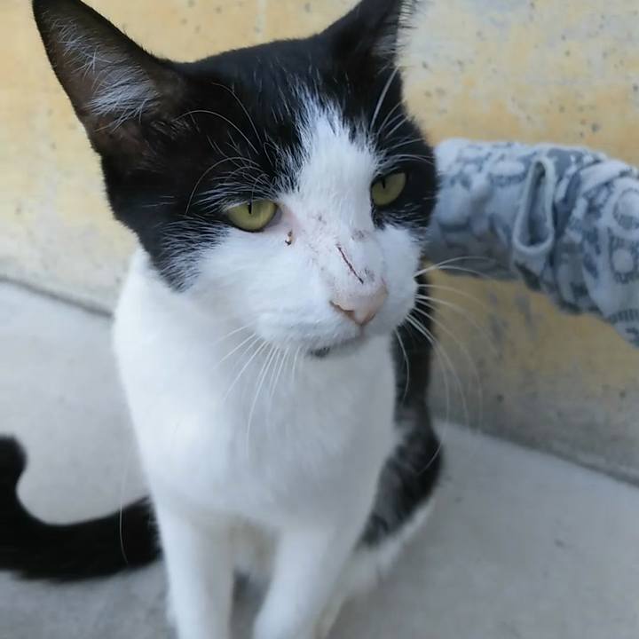 B84eb871 5014 4295 a7fe 538cb4d140e1 1537348361929