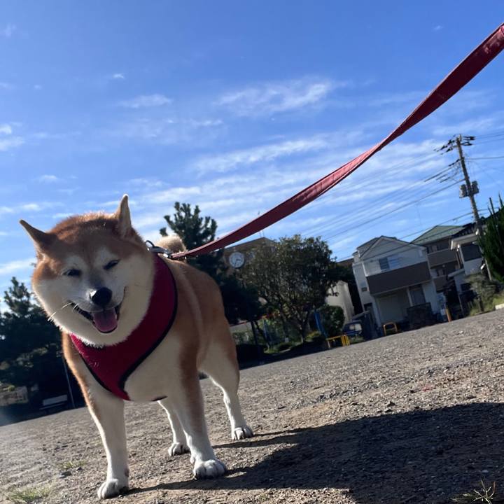 B84ec07a 3633 4162 a1de 977b2d565ff8 1695685721183