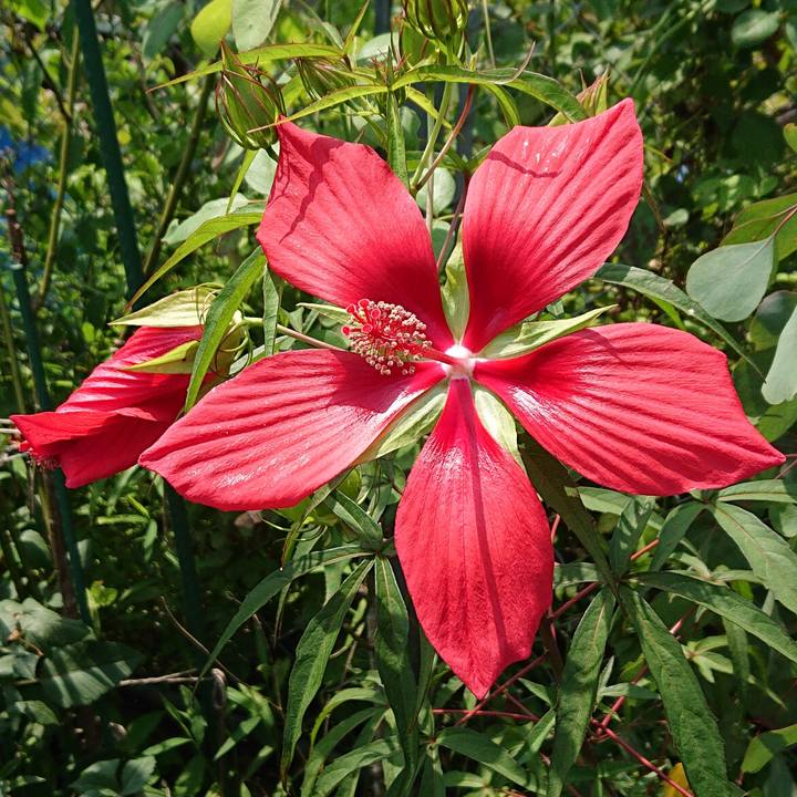 B84eec0d cb82 4bd9 9bb7 2e05494422e5 1597390893959