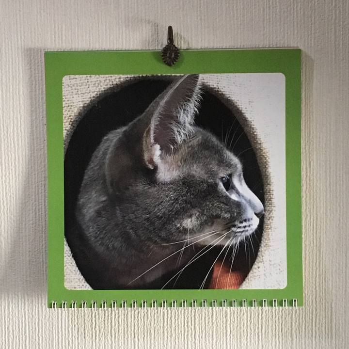 B84f0cf6 f99d 4e4c abea 27541c277a8d 1547432292991