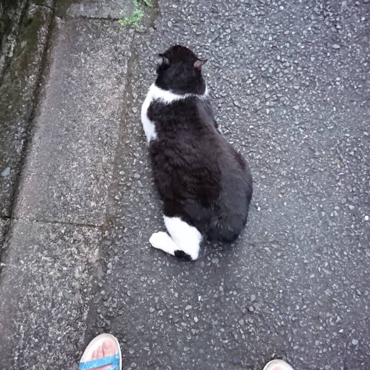 B84f1a33 4bcc 4f53 8ce8 8d3d366b0798 1628157506973