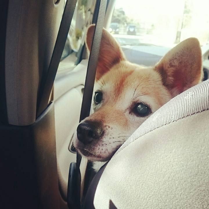 B84f599c 5281 4f41 9d33 40f3d31b0b42 1515294836279