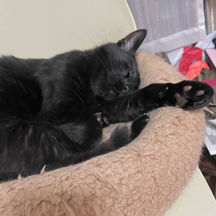 B84fa8e0 6c04 4b22 9b3e 128564598fb3 1659099792285