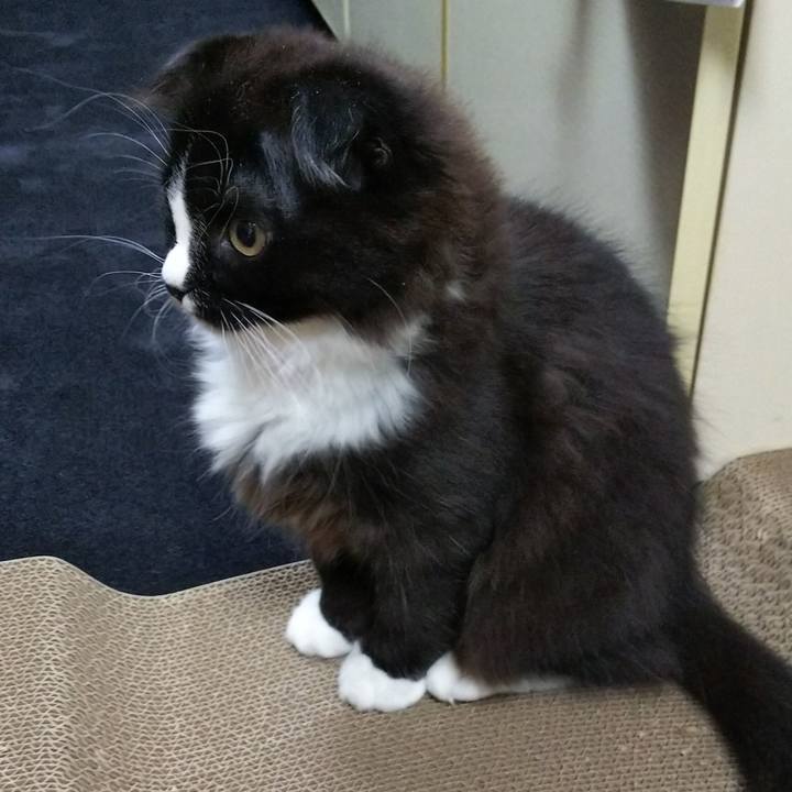 B84fb289 6b32 4da2 8d3b 3707317f855d 1641041664002