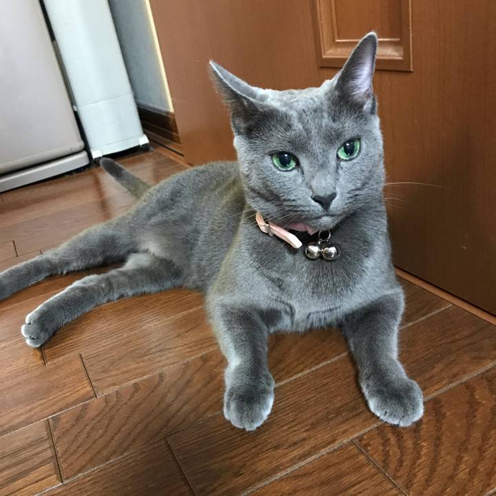 B84fd604 17fd 4067 a324 ffd34c97b0bf 1565871886483