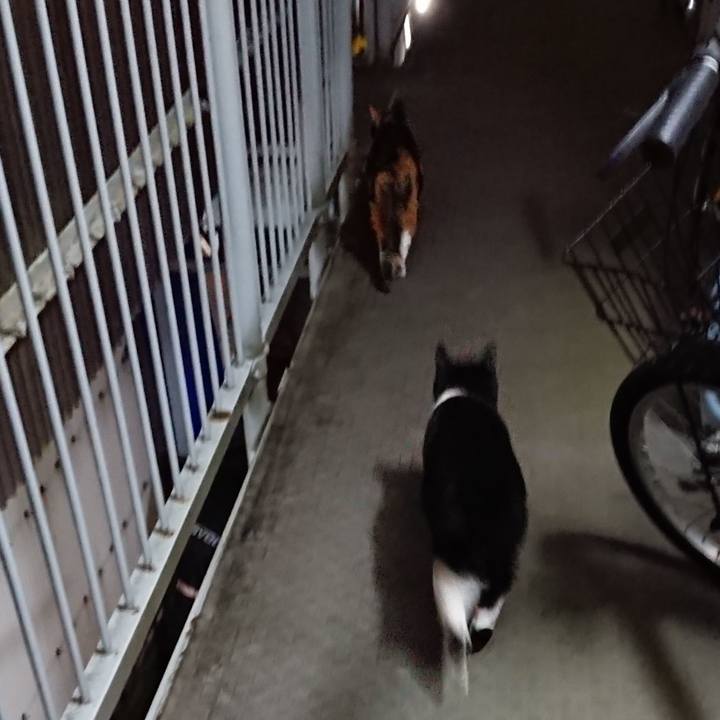 B84fd83e b93f 44e4 8db6 aa37cf188483 1666087183659