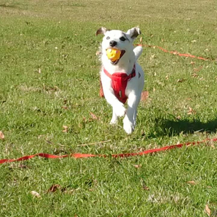 B84fe30e e027 4a52 8732 bd006147c4e2 1543622149363