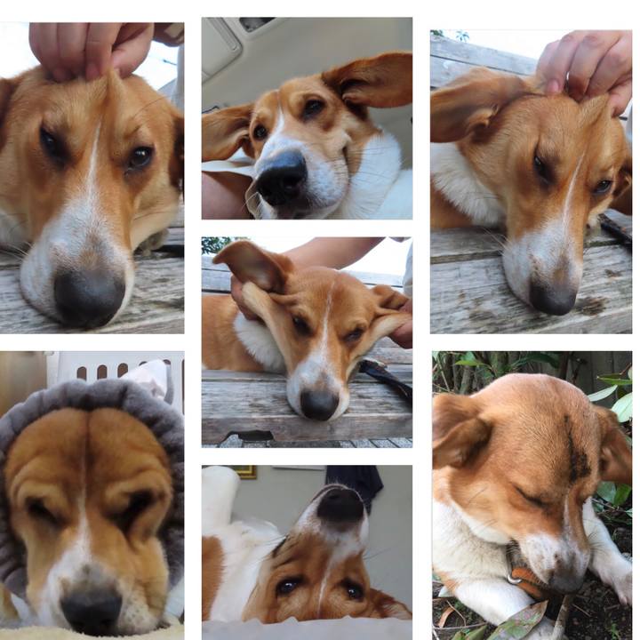 B84fee4a b80a 4add 9d5f 09704fd41fa8 1624277649059