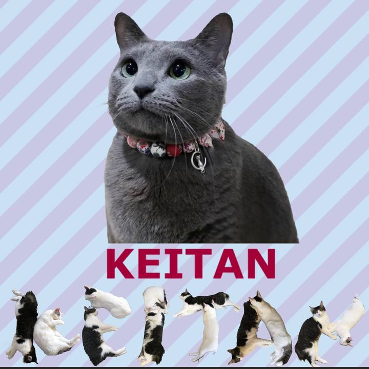 B84ff000 7367 4457 b53c 2c7c761fbe42 1667528657678