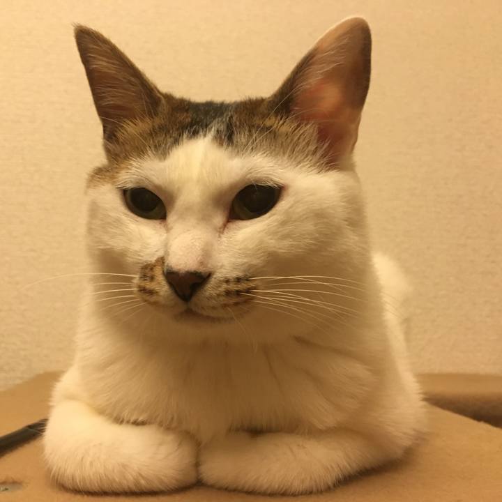 B8503a14 9d09 4904 9523 712134954c31 1529331500283