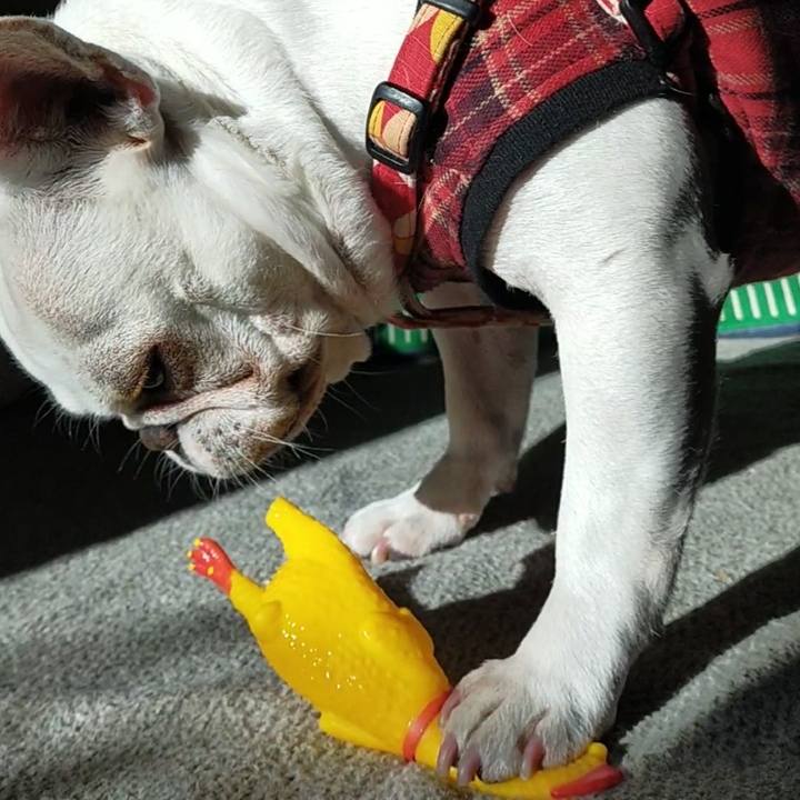 B8507f20 d435 4572 968d 97fd49537661 1640568588838