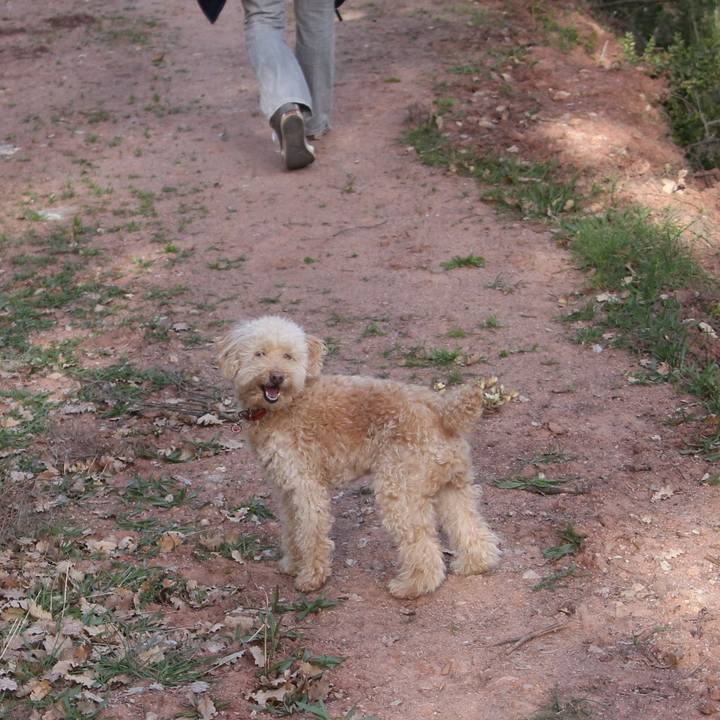 B85084ea 9c03 4d11 b91d f166cb704e4b 1522864378407