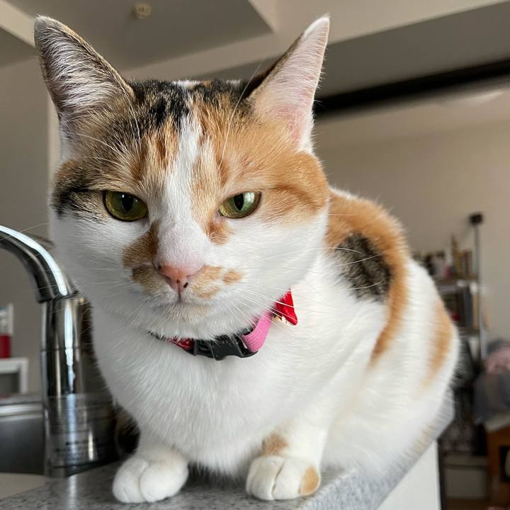 B850be7f c283 49e8 a1f9 91380bb91a89 1614731289303