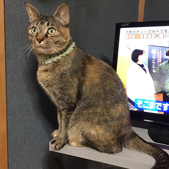 B850c0fe cb52 4d07 886d ede485389096 1644735013603