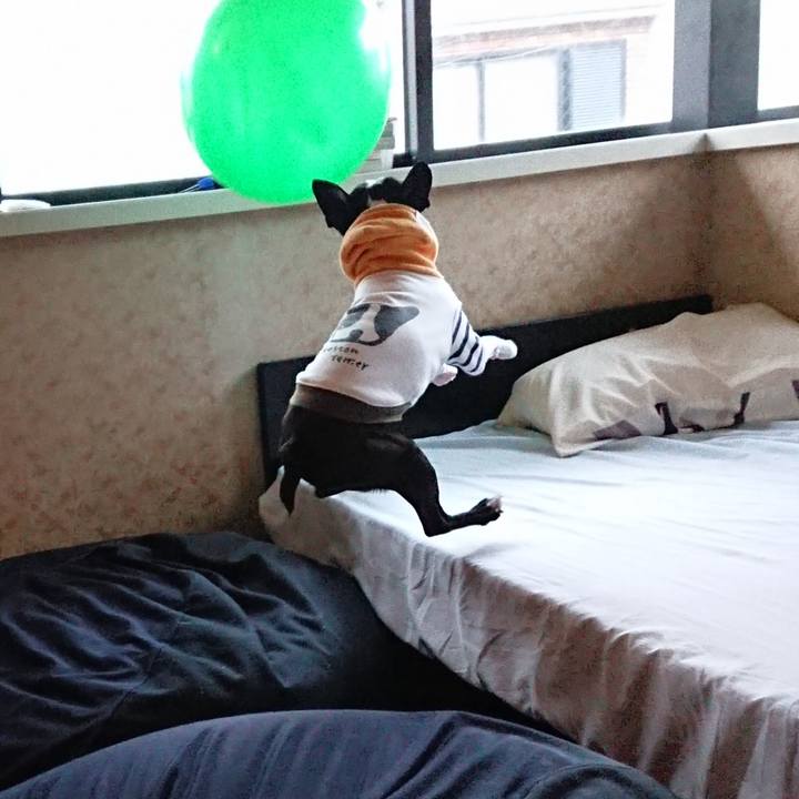 B850c5ed 3d33 4e99 9e10 bbd3ac59628d 1518350088505