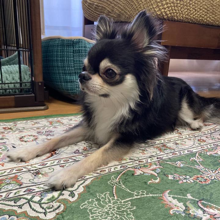 B850ebcf d598 43b3 9edd 570f0ee5e80c 1660991720469