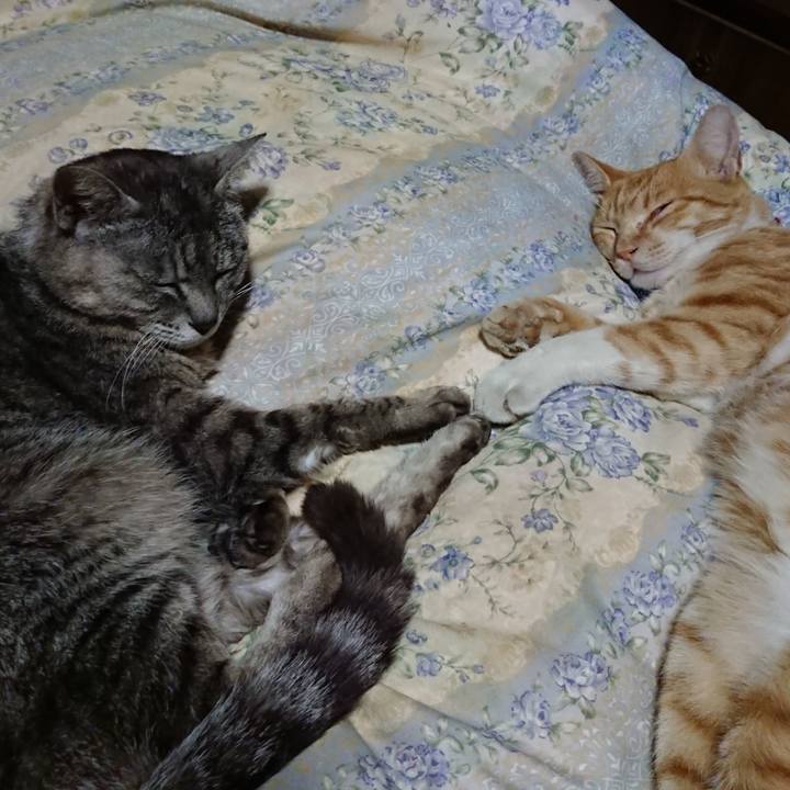 B850fffd dd7a 4d72 9b64 8fd390f016bc 1562766778083