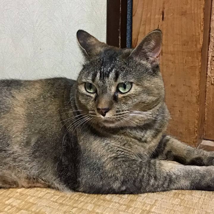 B8515d0c d774 4447 ac9a 2b02980cf74a 1753099711730