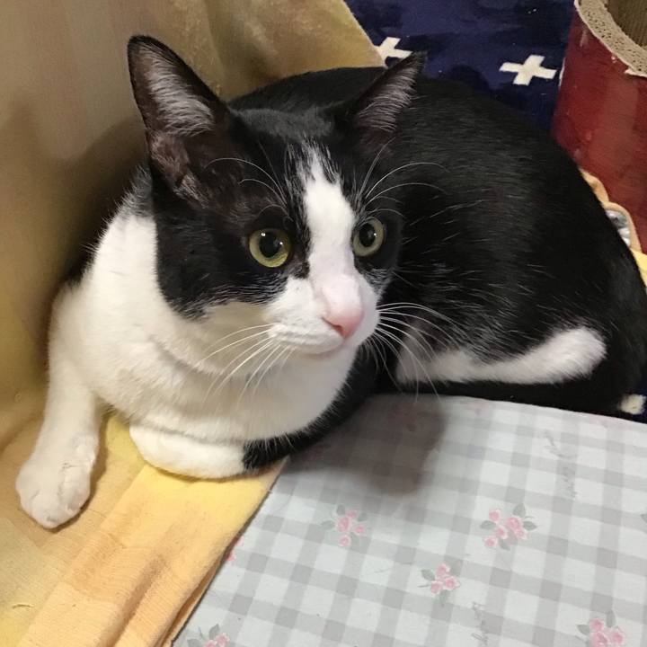 B851790e 141a 4a30 8ff9 2e25dd6b9c60 1707210412476