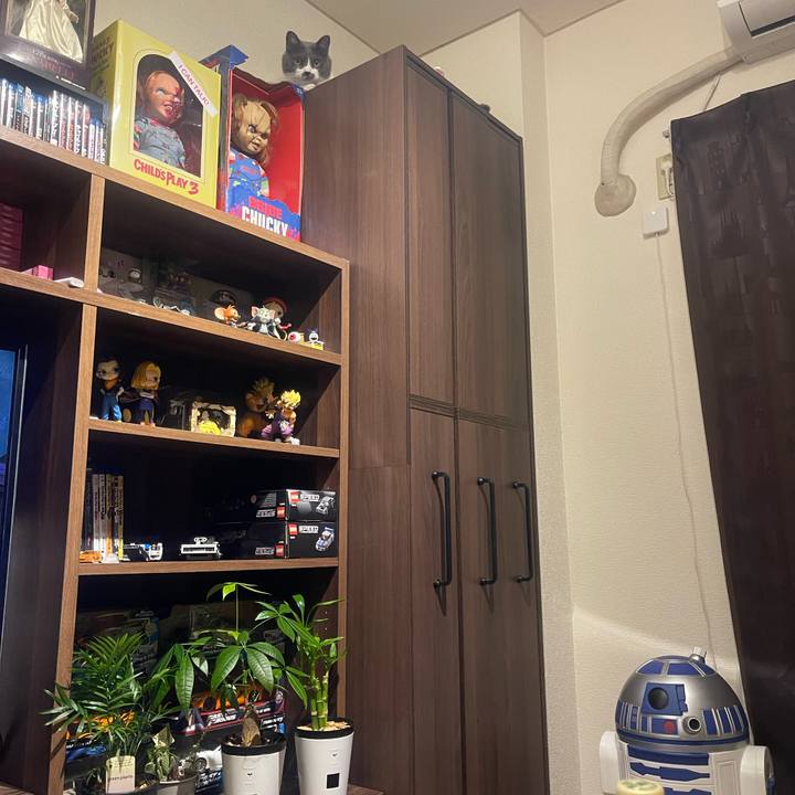 B8519106 4638 40c1 985b e2933d41d851 1749818152332