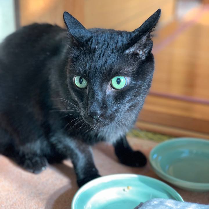 B851f6ca 49cc 49e3 9464 604b38c74886 1564444237768