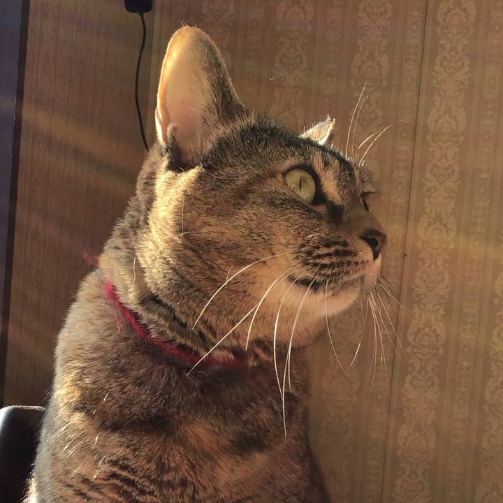 B852729e 7bc6 4022 b9ef 2e55be2b4690 1703488560437