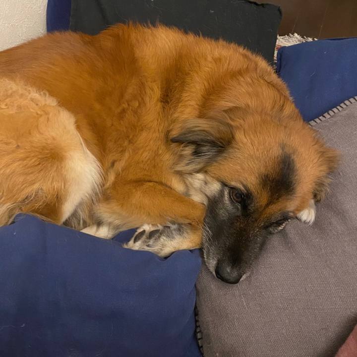 B85284a9 b0d0 407e b098 b9a5149ab6ac 1769138482941