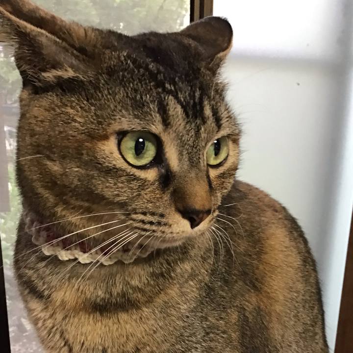 B852925f af35 40e7 8f93 e49ece53405b 1650274912801