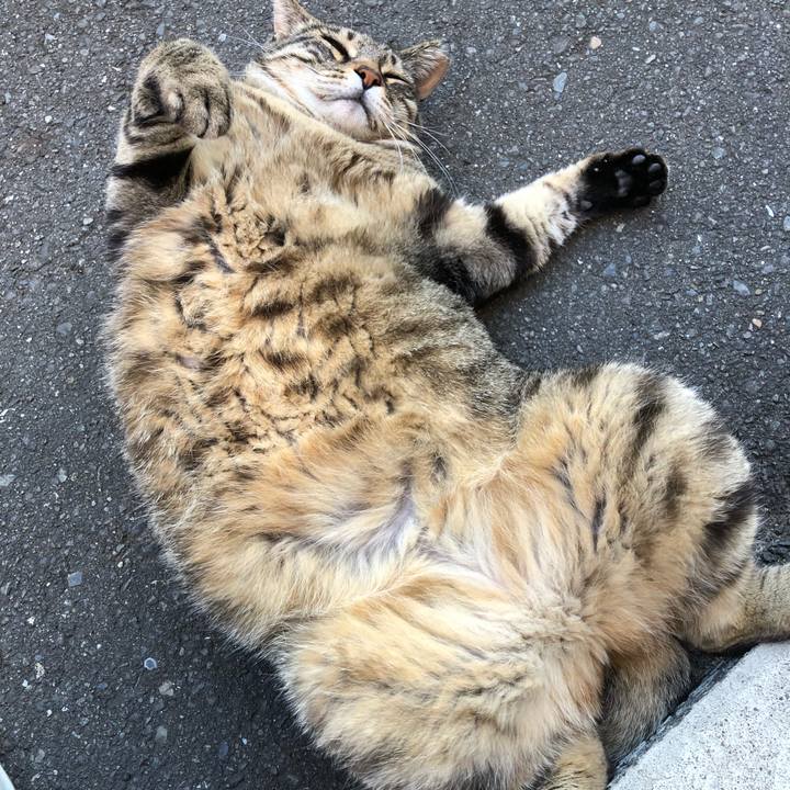 B85297d1 9d18 46a2 b1f8 fb39b6fa86f7 1560735305433