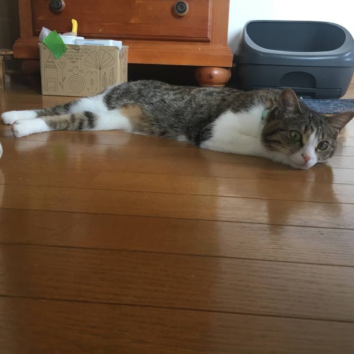 B8533f6e 940a 45e9 bf13 8e744669a8c3 1696224024411