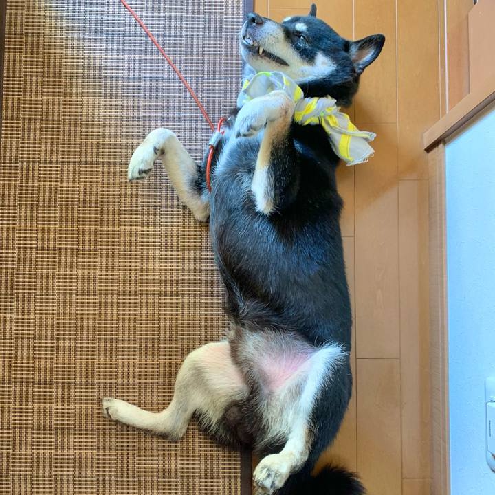 B8534d6e a692 4a53 abfc d0231a16df65 1690339203949