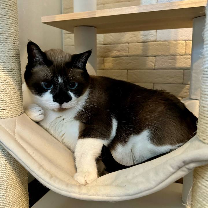 B85359b6 55fa 4d41 a98c 7f77a754c3a2 1726421980502