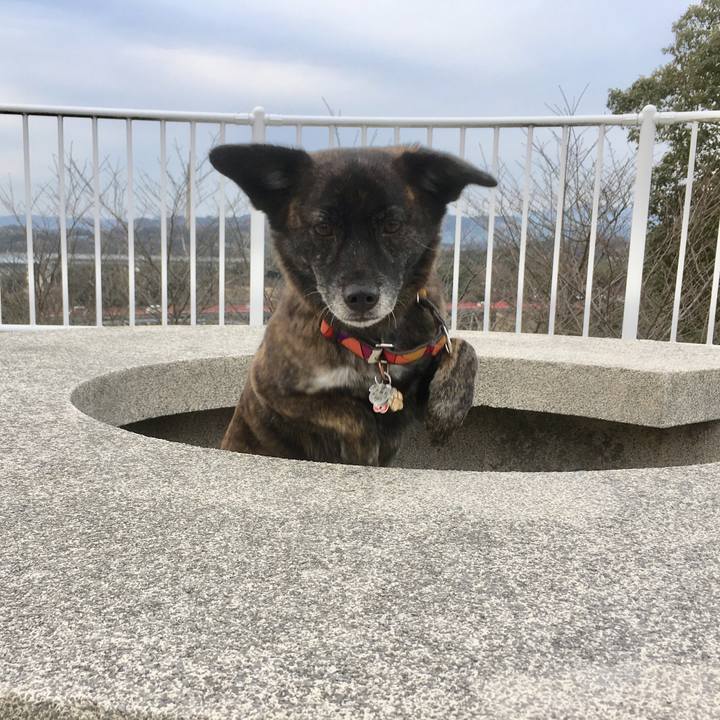 B85388ed ca64 4666 b23b 129c6007c433 1520519008998