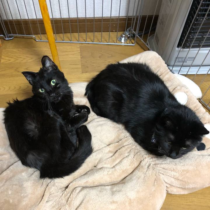 B853d159 96fb 4163 935b 968ab6d6de20 1557831918563