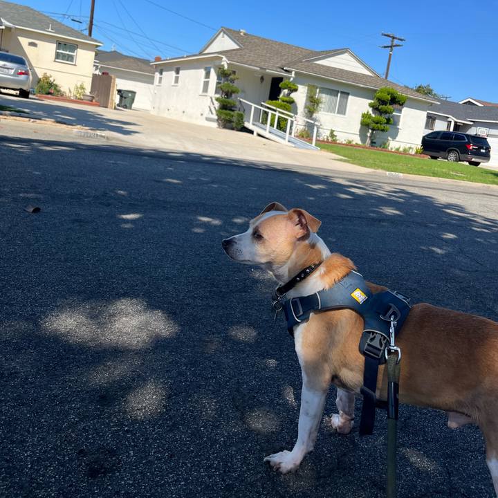 B853ebb6 8d20 4234 9177 cac7d9e401cc 1758391149954