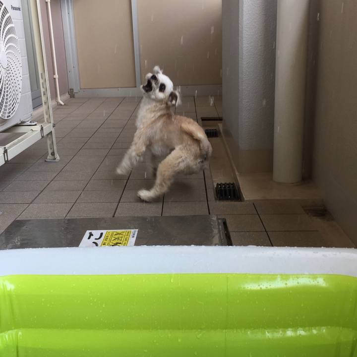 B853f7cd ce94 443e 9c35 f77e37e84cf9 1565174652479