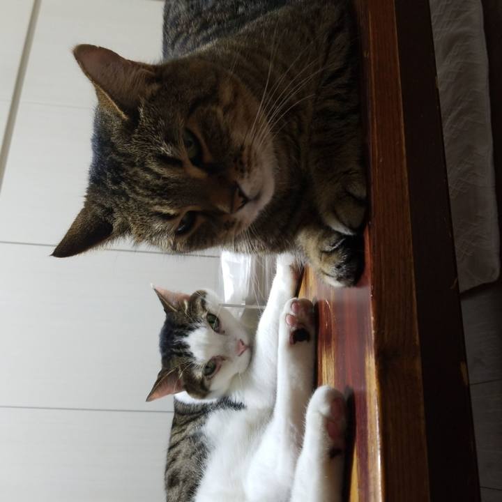 B8540e9b c960 45e2 ad4e eb365455d9c4 1594212477969